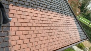 Chemifor_Dak_Groenaanslag