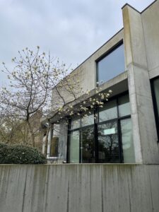 Chemifor_Zichtbeton_Reinigen