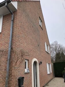 Chemifor_Gevel_Klimop_Verwijderen