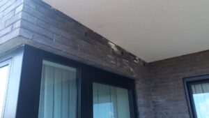 Chemifor_Zoutuitbloeiing