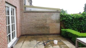 Chemifor_Gevel_Klimop_Verwijderen