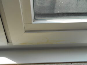 Chemifor_PU_Verwijderen