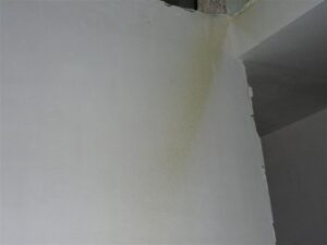 Chemifor_PU_Verwijderen