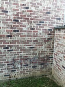 Chemifor_Olie_Baksteen